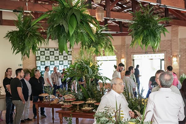 Imagem do Amary Legacy